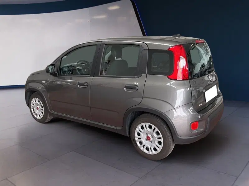 Fiat Panda usata a Torino (4)