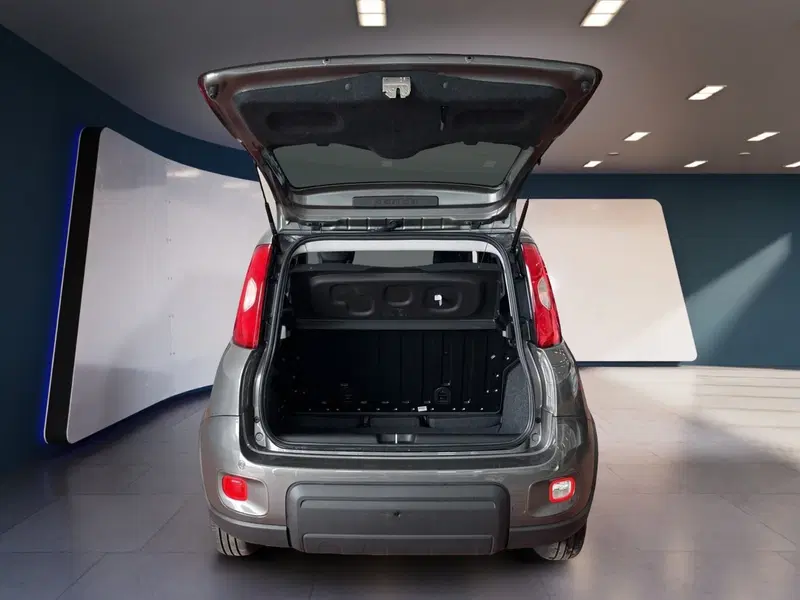 Fiat Panda usata a Torino (7)