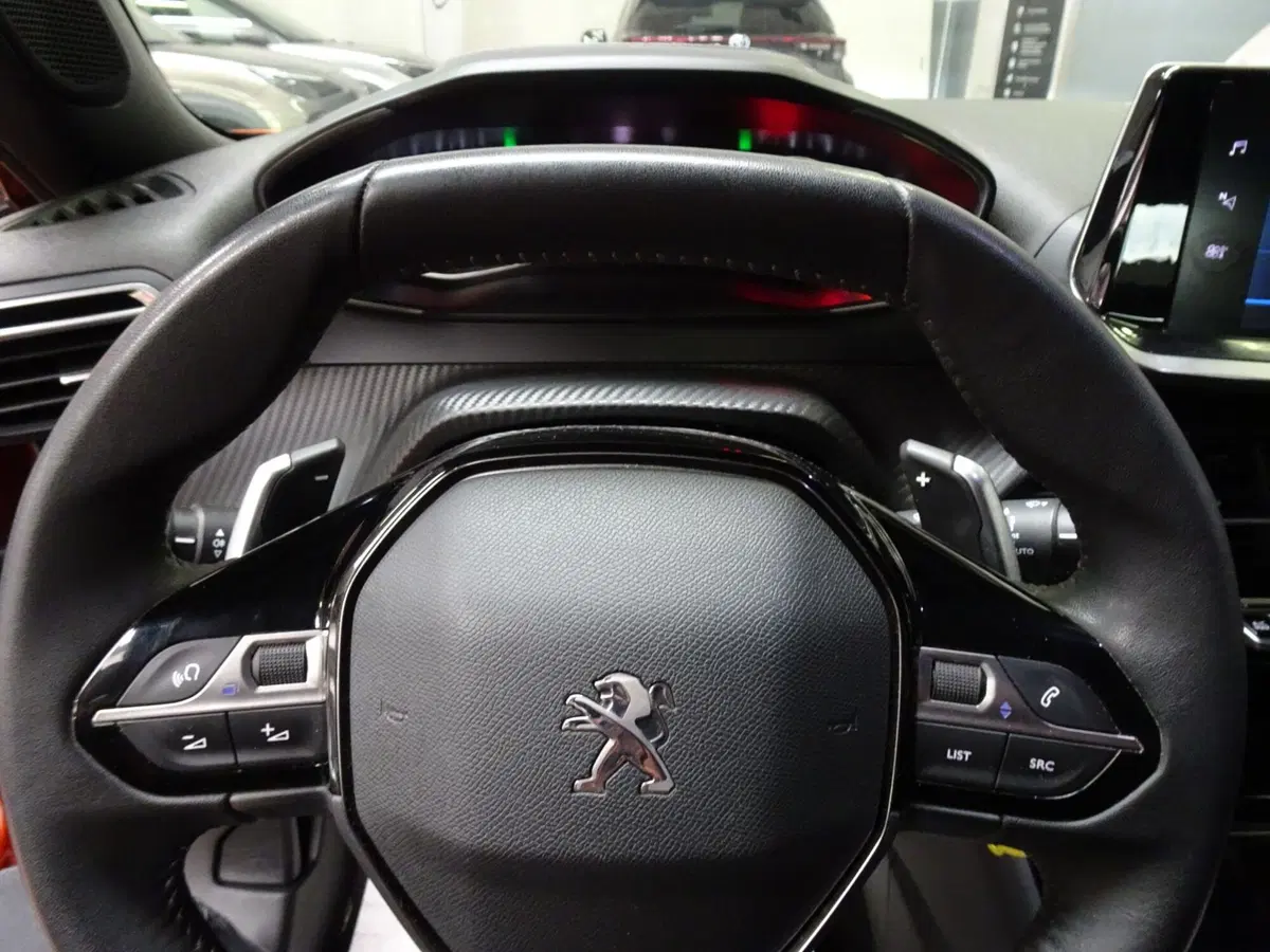Peugeot 2008 usata a Treviso (11)