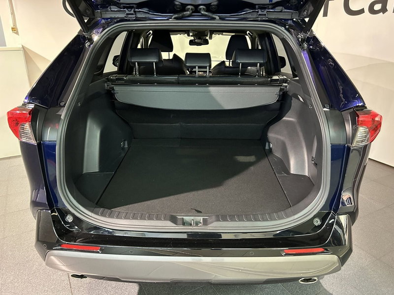 Toyota Rav4 usata a Milano (9)