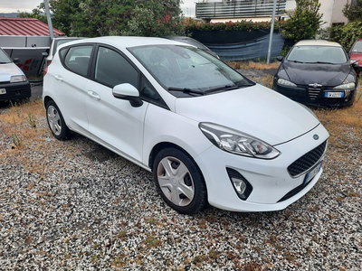 Ford Fiesta 1.1 85 CV 5 porte Plus del 2017 usata a La Spezia