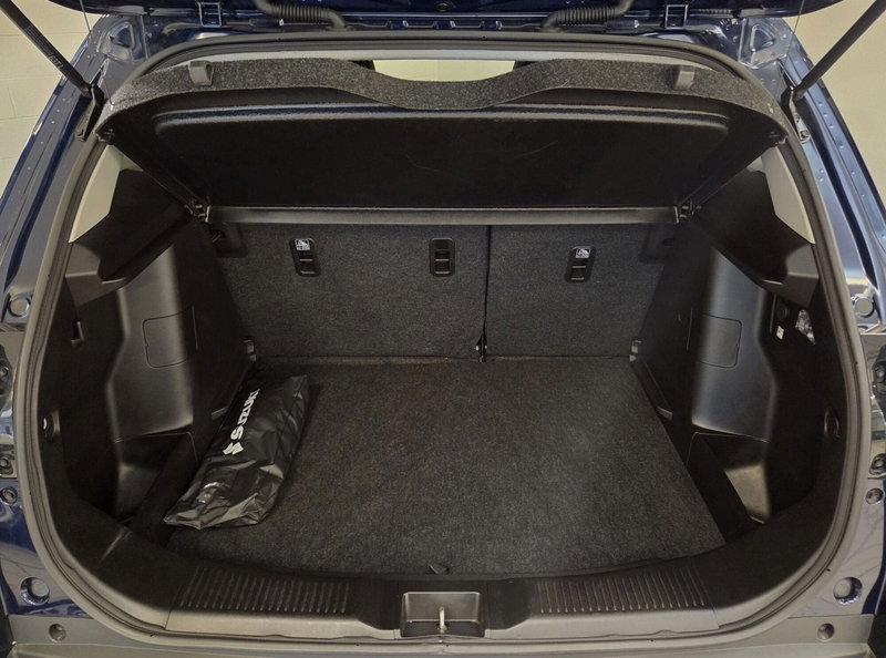 Suzuki S-Cross usata a Pavia (7)