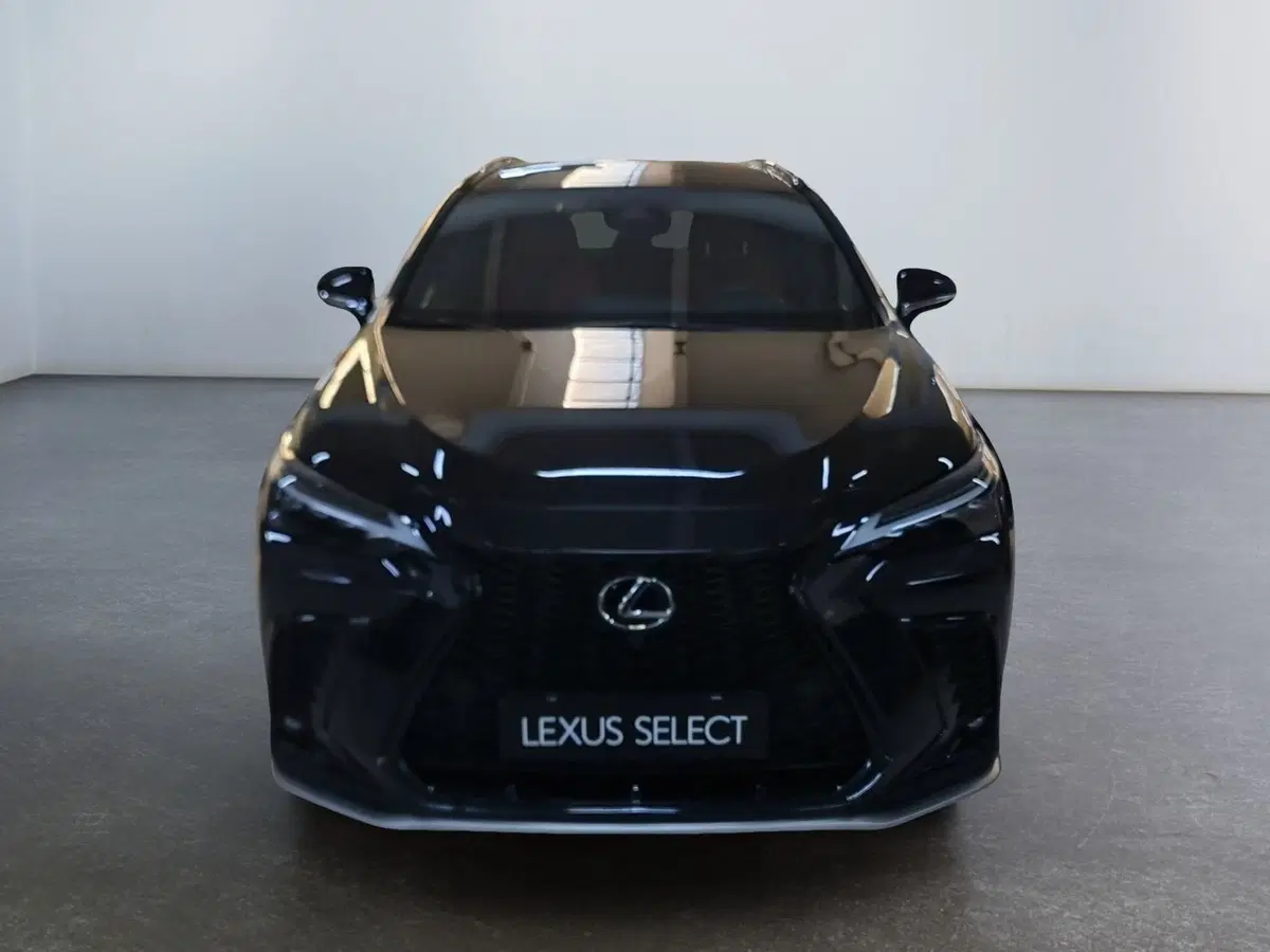 Lexus NX usata a Modena (2)