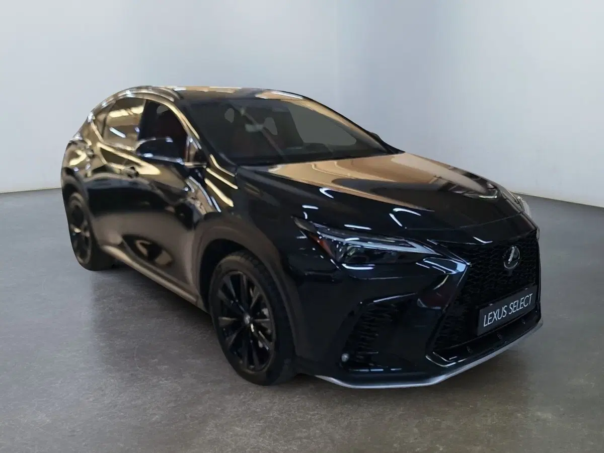 Lexus NX usata a Modena (3)