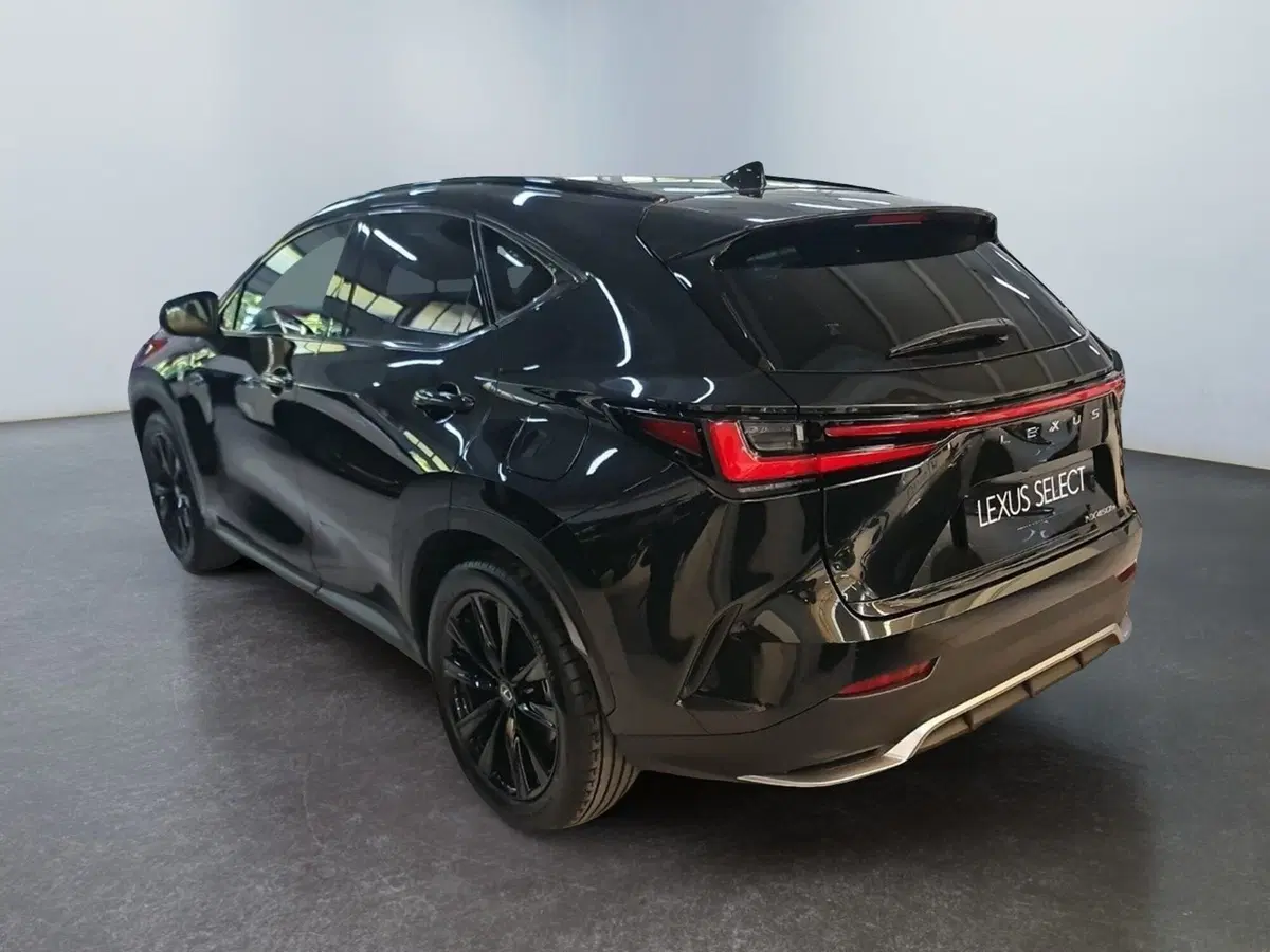 Lexus NX usata a Modena (4)