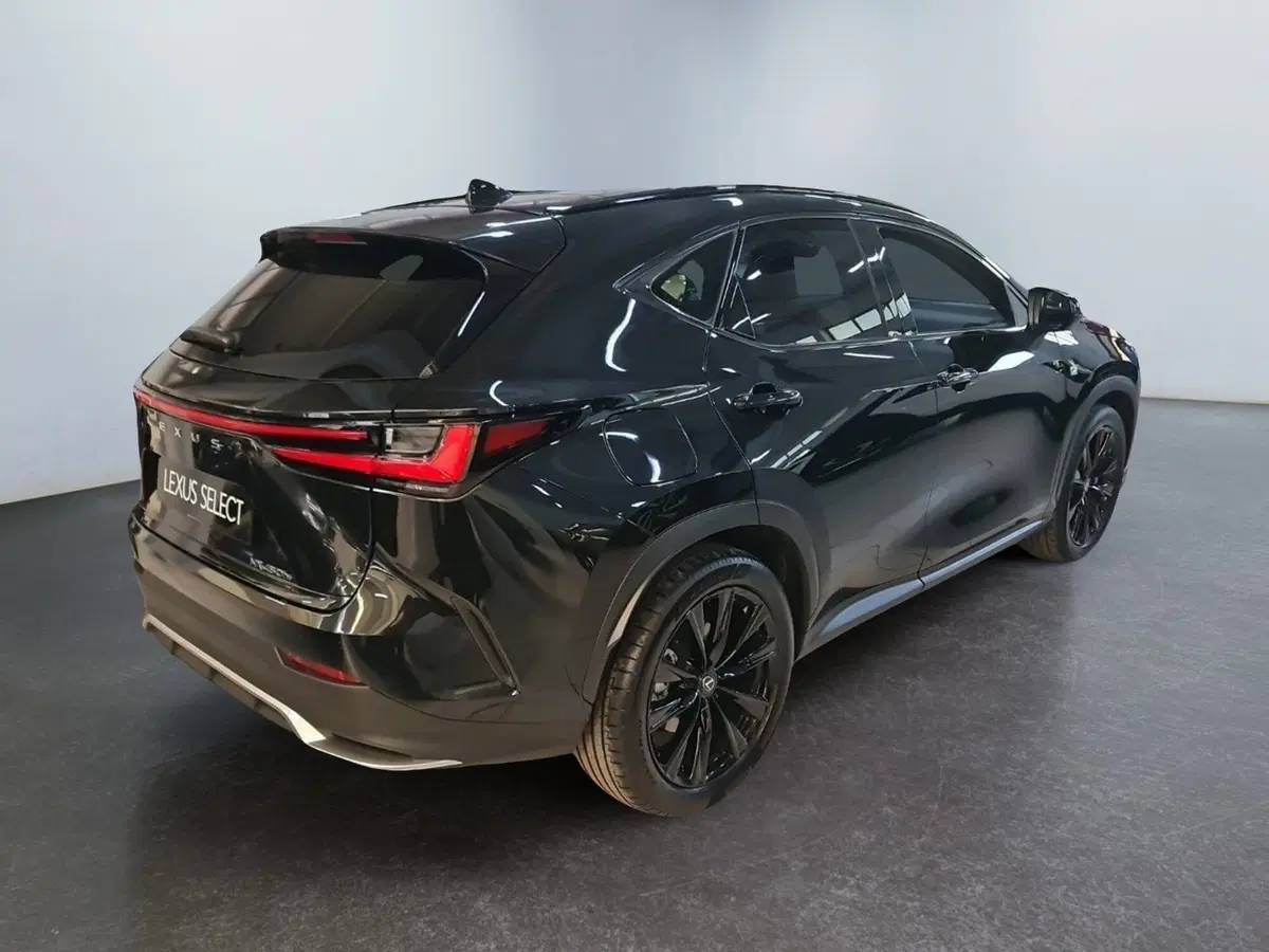 Lexus NX usata a Modena (5)
