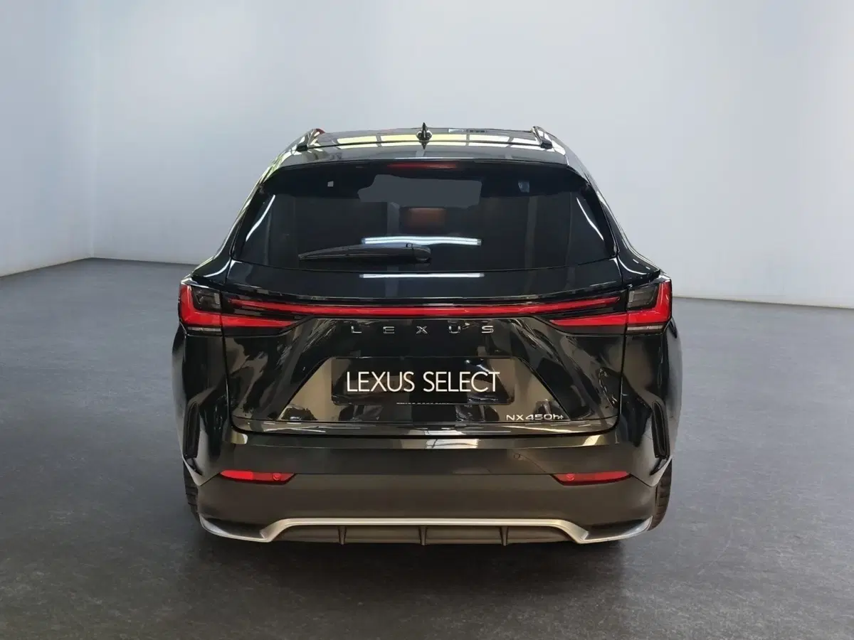 Lexus NX usata a Modena (6)