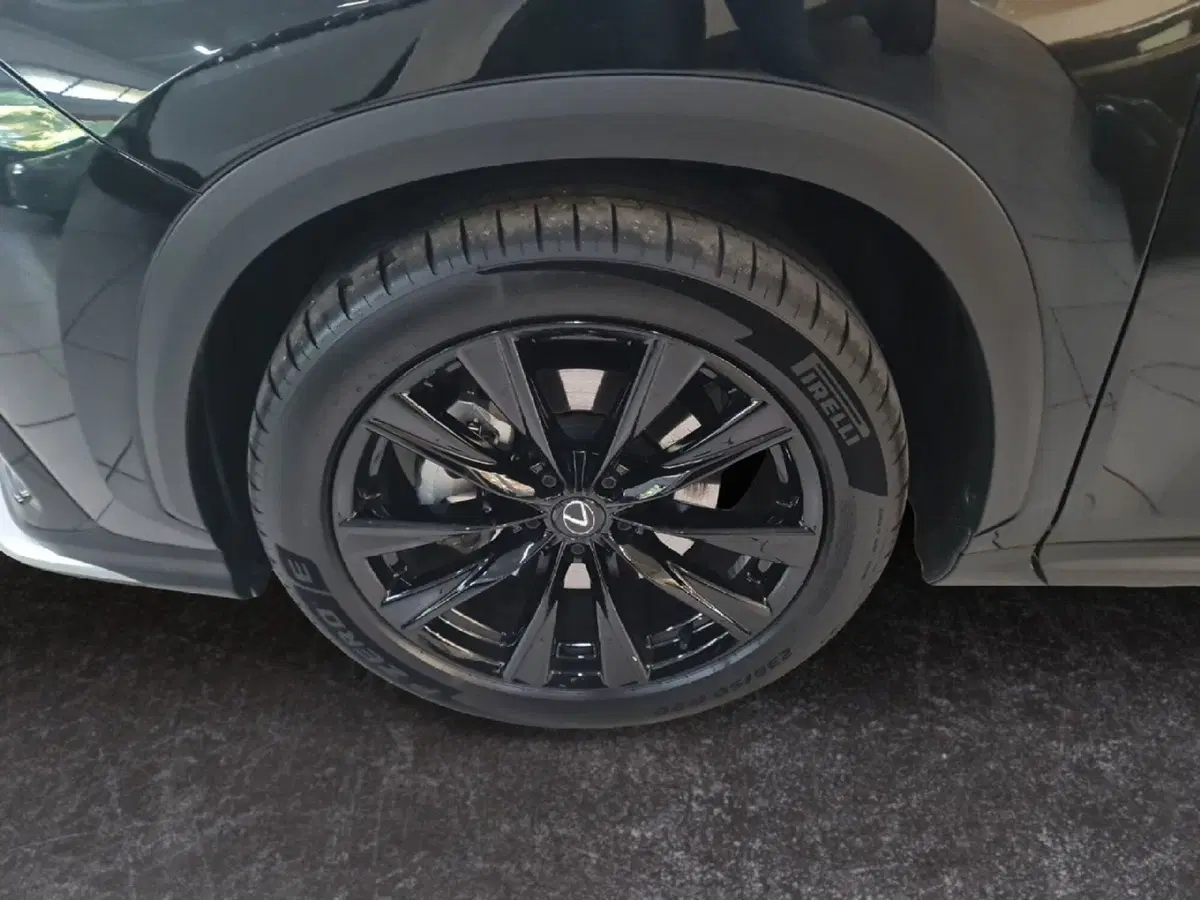 Lexus NX usata a Modena (7)