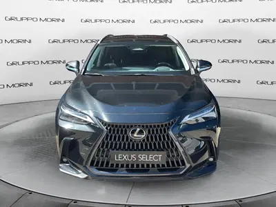 Lexus NX Hybrid 4WD Premium del 2022 usata a San Lazzaro di Savena