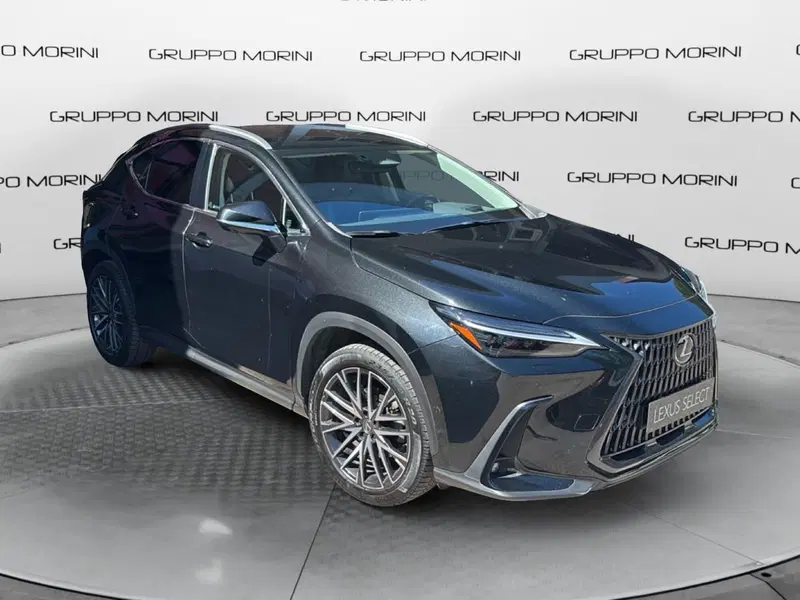 Lexus NX usata a Bologna (2)