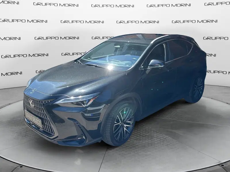Lexus NX usata a Bologna (3)
