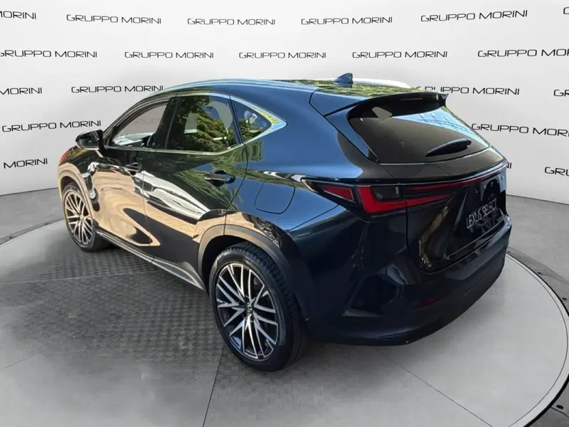 Lexus NX usata a Bologna (5)