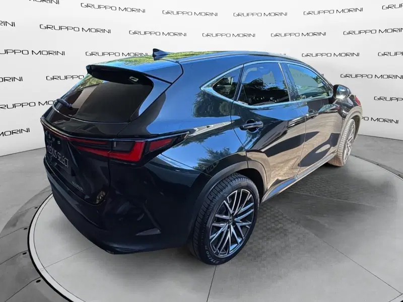 Lexus NX usata a Bologna (6)