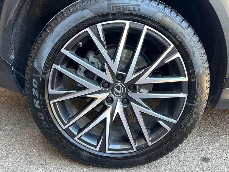 Lexus NX usata a Bologna (7)