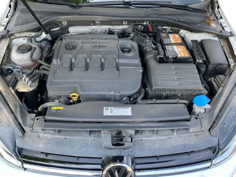 Volkswagen Golf usata a Bologna (11)