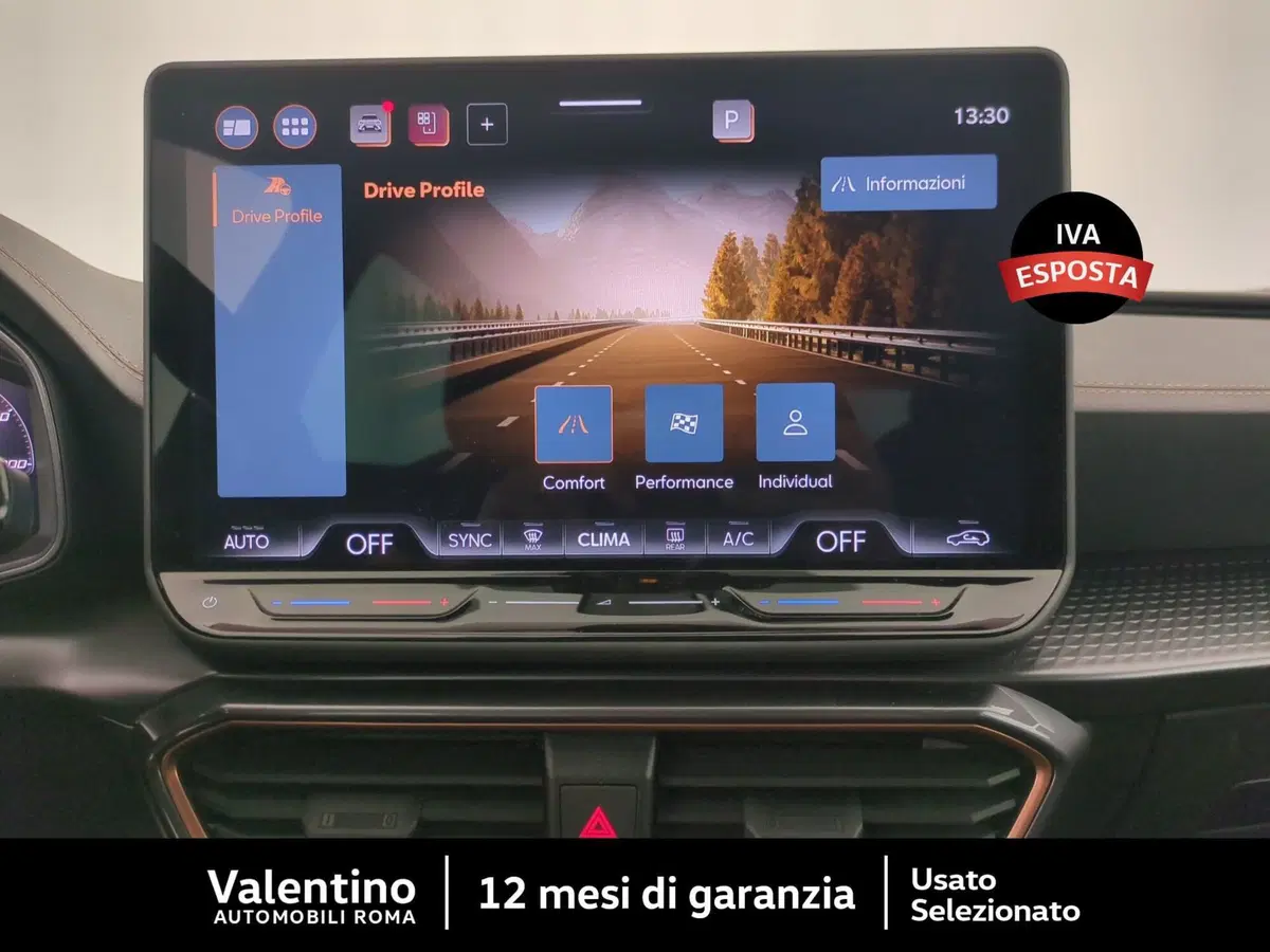 Cupra Formentor usata a Roma (17)