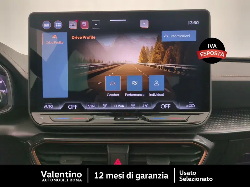 Cupra Formentor usata a Roma (17)