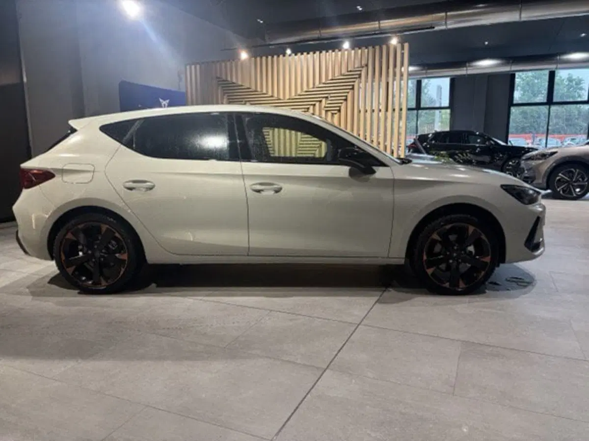 Cupra Leon nuova a Ferrara (4)