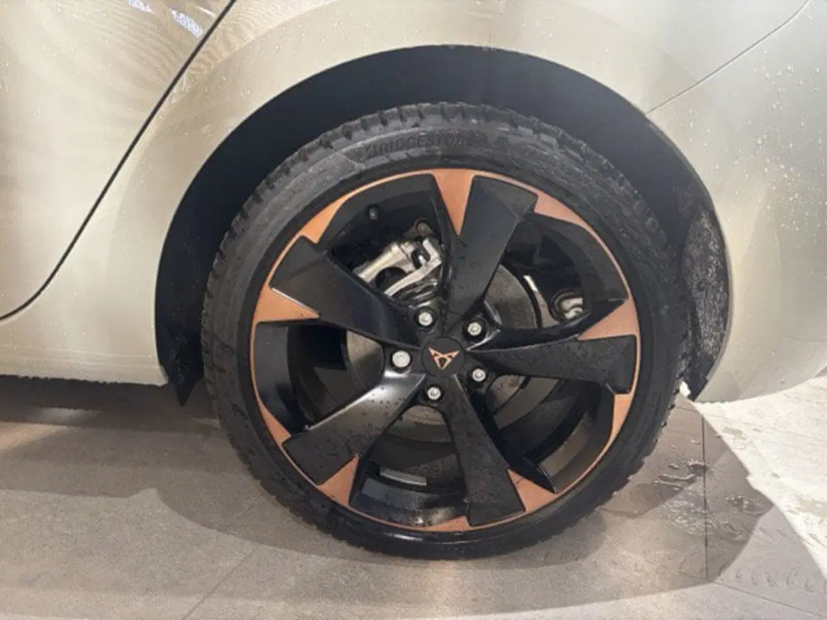 Cupra Leon nuova a Ferrara (8)