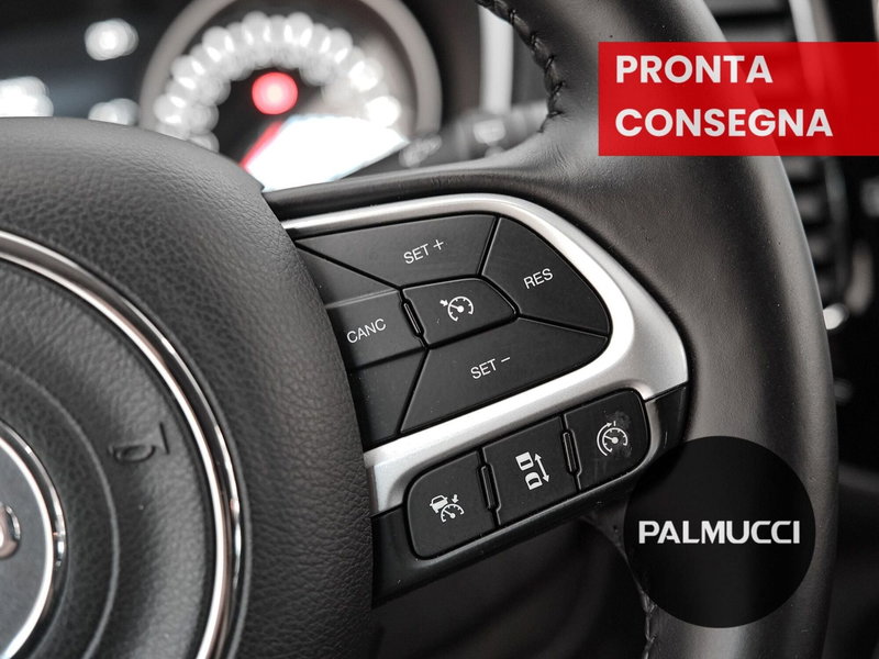Jeep Compass usata a Prato (14)
