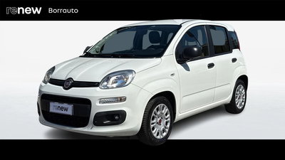 Fiat Panda 1.0 FireFly S&amp;S Hybrid Easy del 2021 usata a Montebelluna