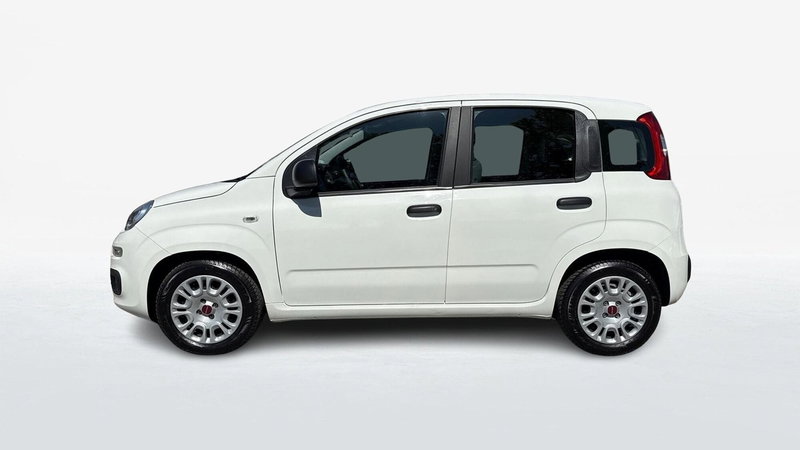 Fiat Panda usata a Treviso (2)
