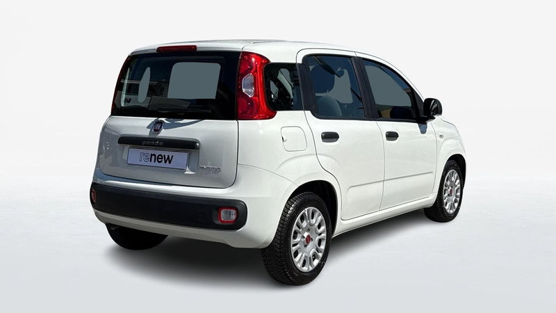 Fiat Panda usata a Treviso (3)