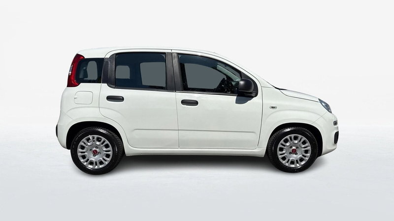 Fiat Panda usata a Treviso (4)