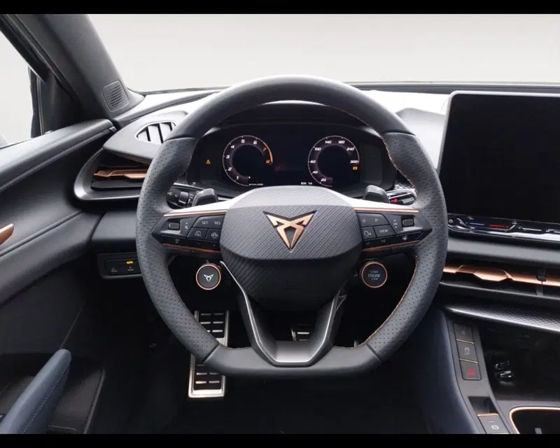 Cupra Terramar nuova a Forlì-Cesena (12)