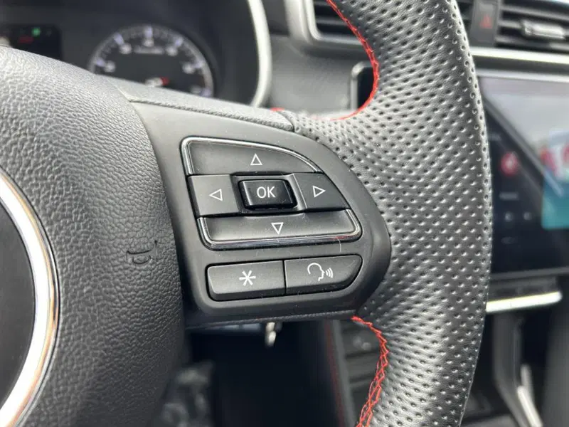 Mg ZS usata a Cuneo (14)