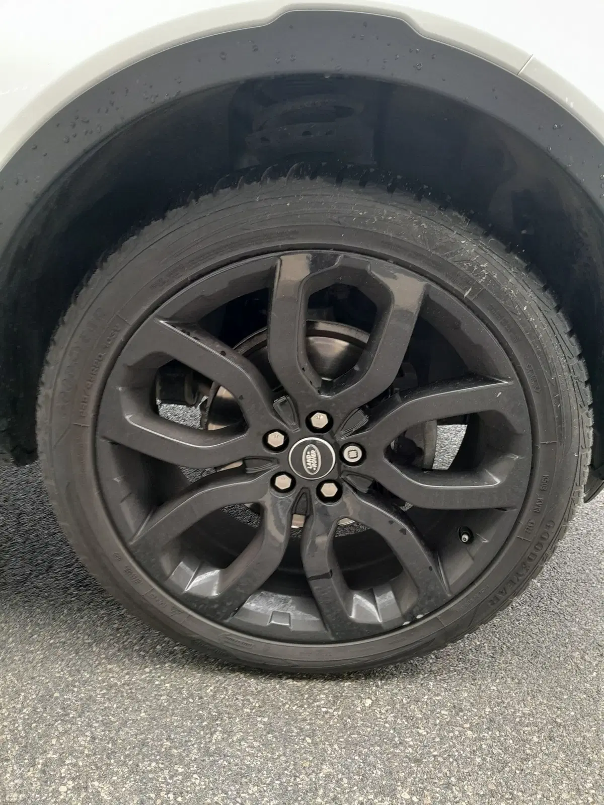 Land Rover Range Rover Evoque usata a Cuneo (19)