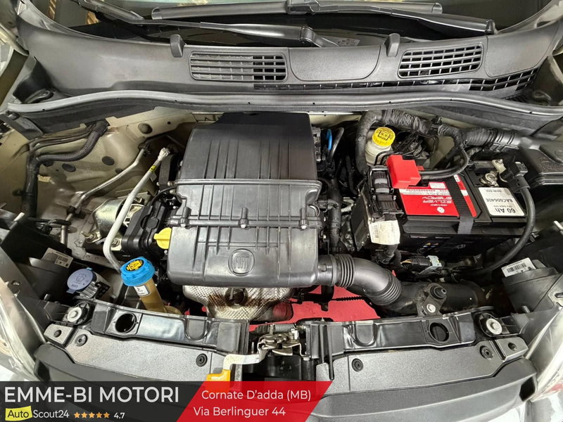 Fiat Panda usata a Monza e Brianza (14)