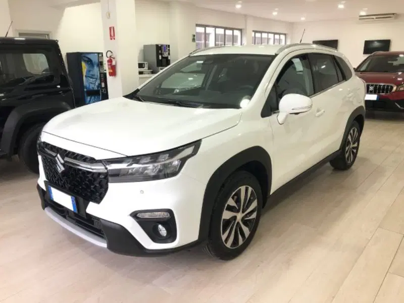 Suzuki S-Cross usata a Torino