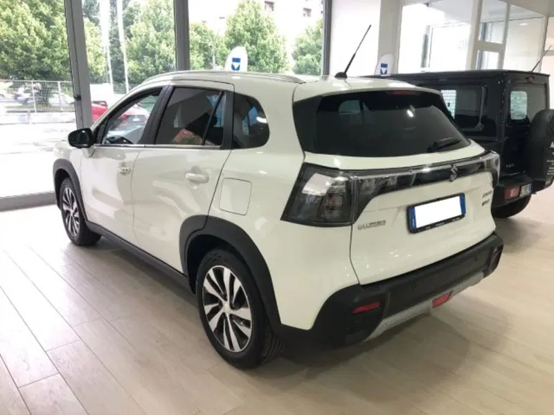 Suzuki S-Cross usata a Torino (6)