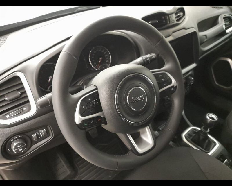 Jeep Renegade usata a Alessandria (9)