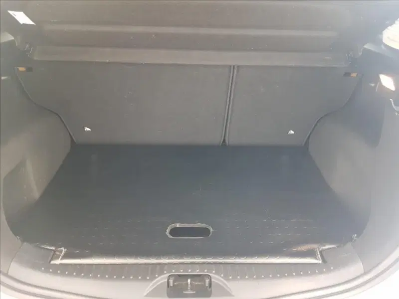 Ford B-Max usata a Lucca (15)