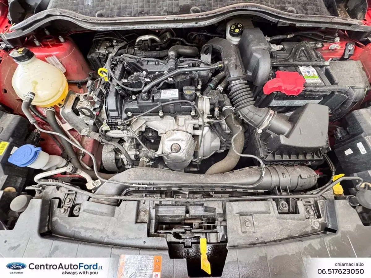Ford Fiesta usata a Roma (11)