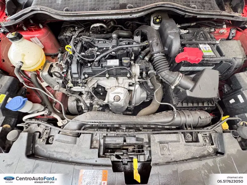 Ford Fiesta usata a Roma (11)