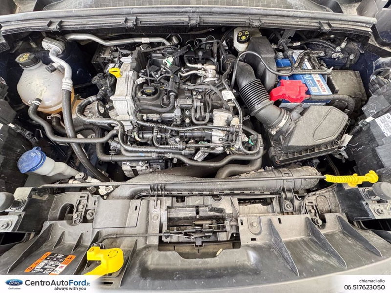 Ford Puma usata a Roma (11)