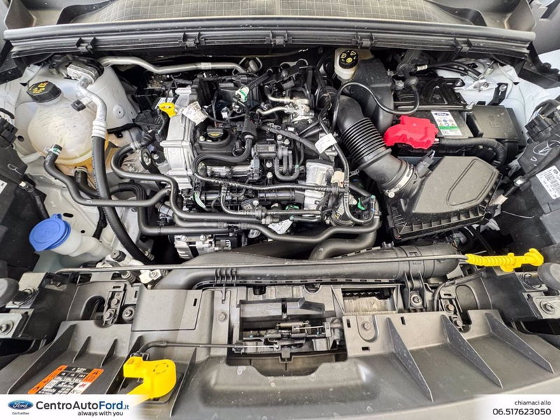 Ford Puma usata a Roma (11)