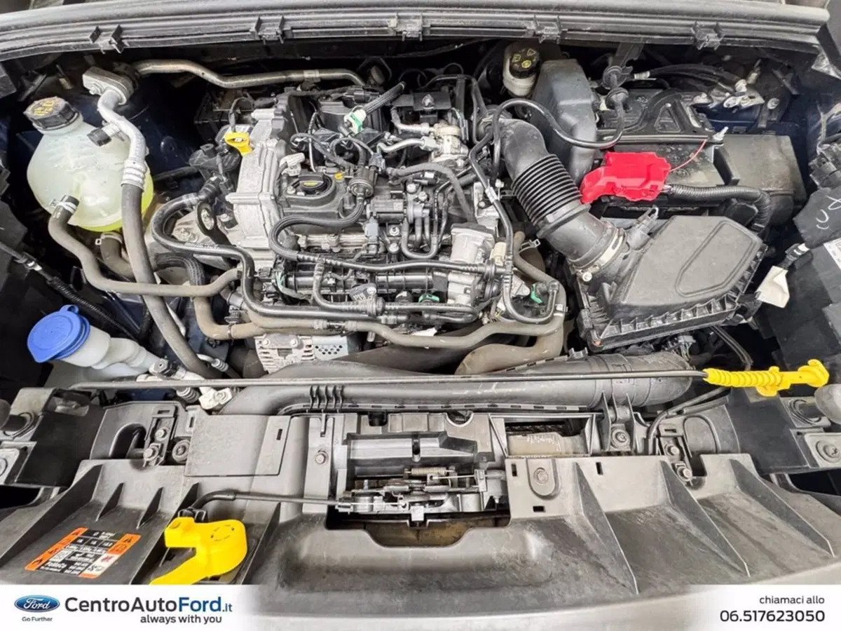 Ford Puma usata a Roma (10)
