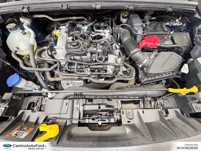 Ford Puma usata a Roma (11)