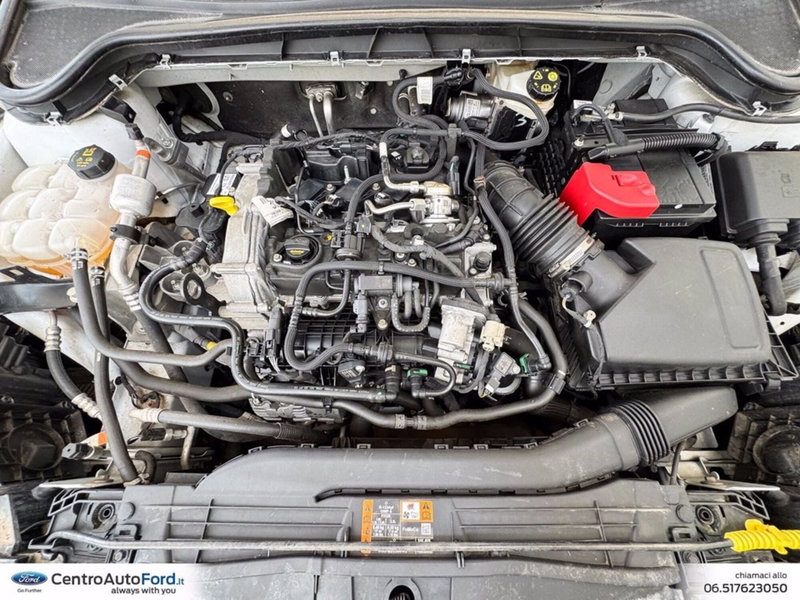 Ford Focus usata a Roma (11)