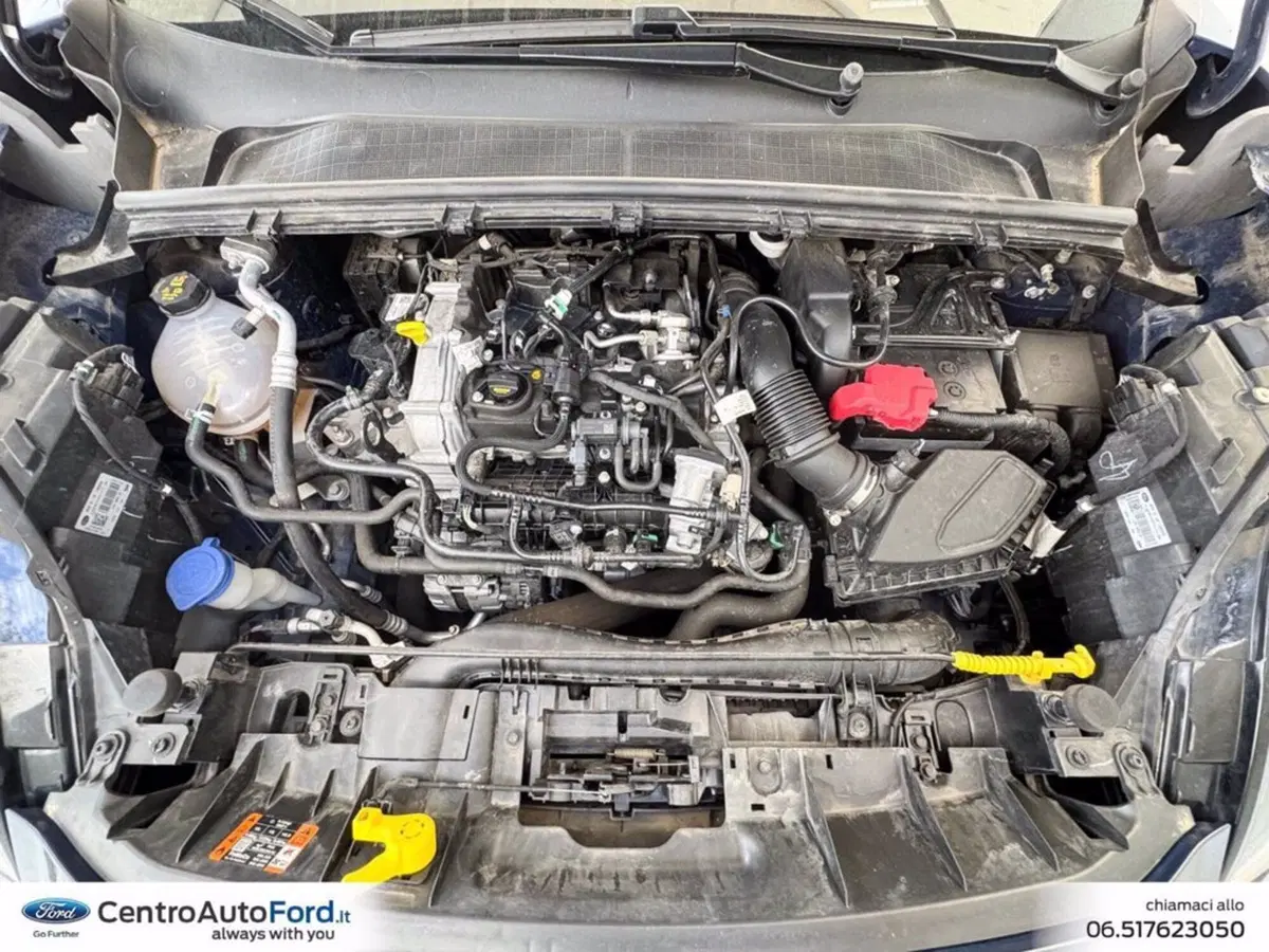 Ford Puma usata a Roma (11)