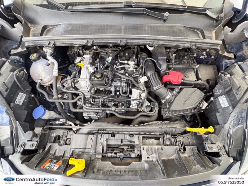 Ford Puma usata a Roma (11)