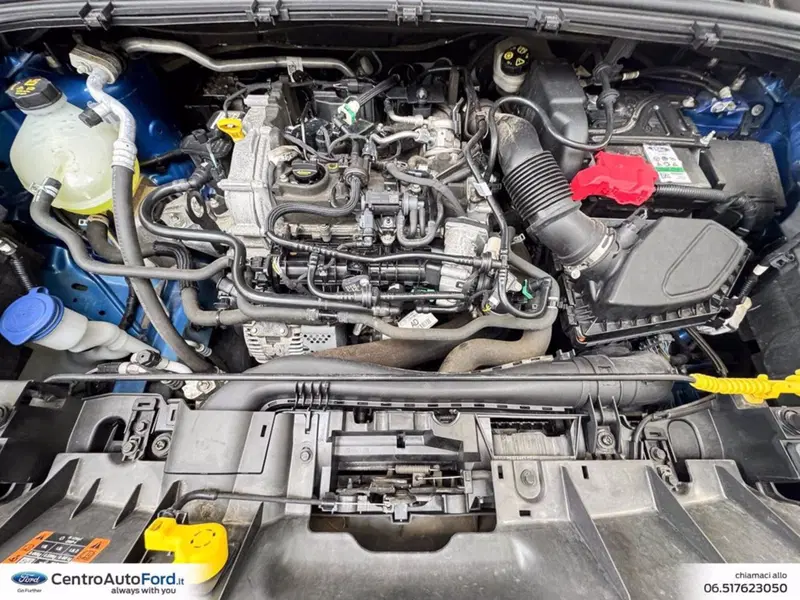 Ford Puma usata a Roma (11)