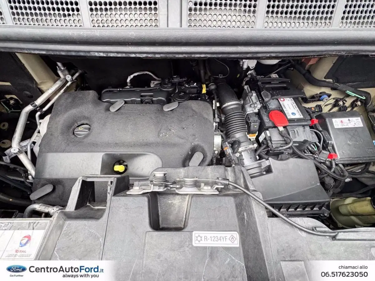 Peugeot Traveller usata a Roma (12)