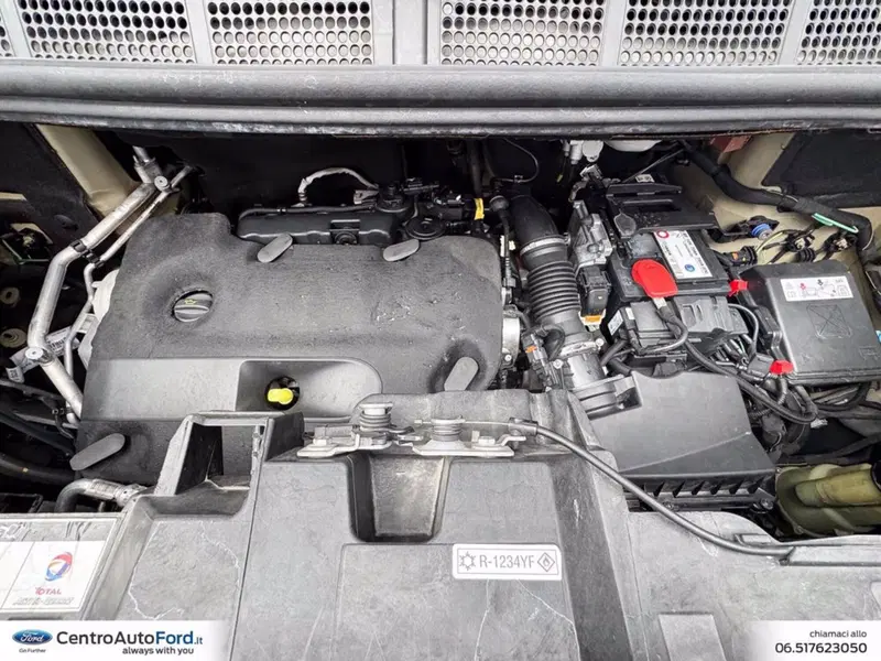 Peugeot Traveller usata a Roma (12)