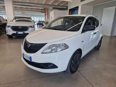 Lancia Ypsilon 1.2 69 CV 5 porte GPL Ecochic Elefantino Blu del 2018 usata a Imola