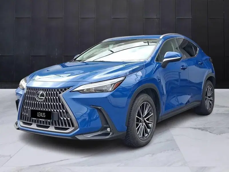 Lexus NX usata a Torino